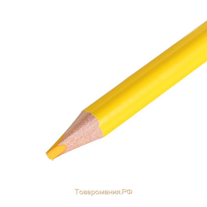 Карандаши трёхгранные 12 цветов, Maped Color Peps, европодвес