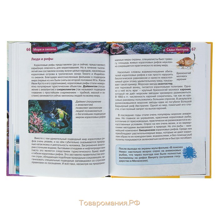 Детская энциклопедия «Моря и океаны»