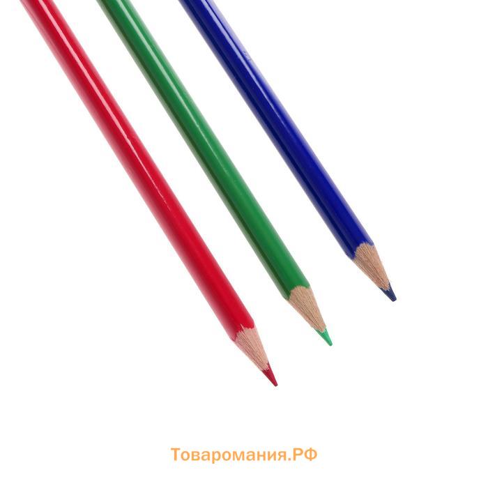 Карандаши 24 цвета Faber-Castell Eco трёхгранные с точилкой, картонная коробка