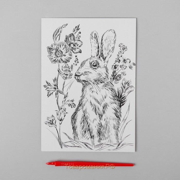 Гравюра «Пасха: кролик на лугу» A5, с металлическим эффектом «голография»