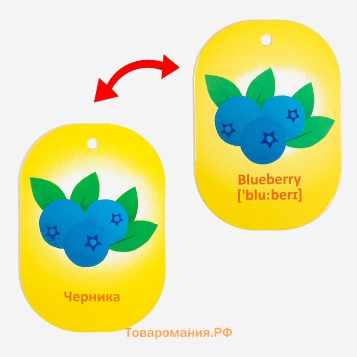 Карточки на кольце для изучения английского языка «Фрукты и ягоды», 20 карт, кольцо, 3+