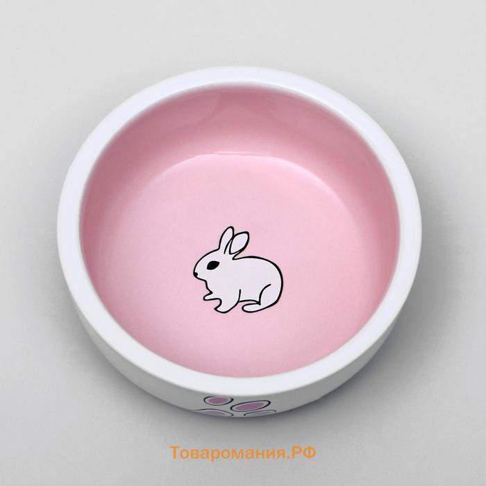 Миска керамическая для кроликов 200 мл  10 х 3,7 см, бело-розовая