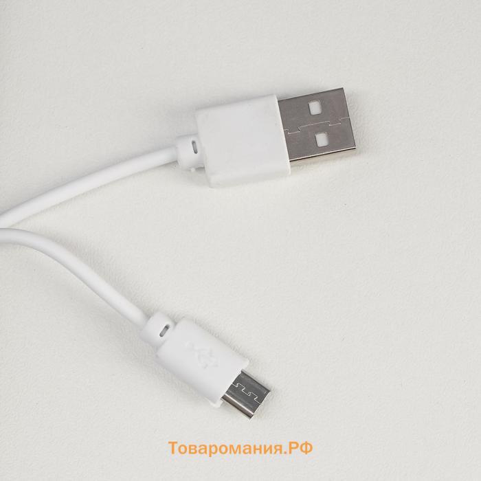 Лампа настольная 16104/1 LED 2Вт USB АКБ 3 режима белый 6,3х11х39 см RISALUX