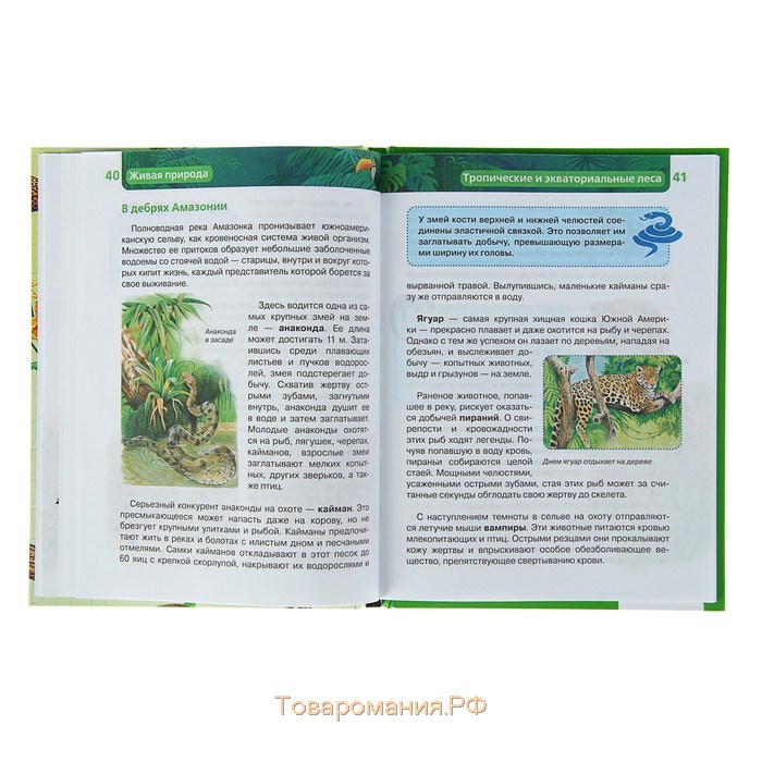 Детская энциклопедия «Живая природа»
