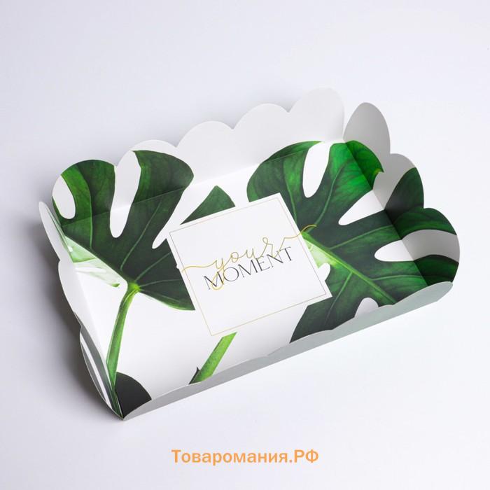 Коробка для печенья, кондитерская упаковка с PVC крышкой, «Эко», 20 х 30 х 8 см