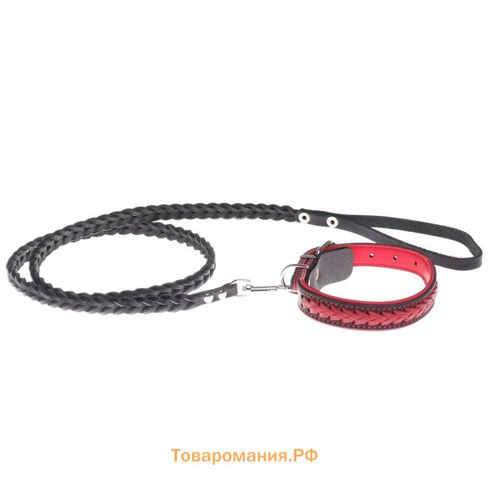 Комплект ошейник (34-45х2 см) и поводок (120х0.8 см) с косой, чёрный с красным