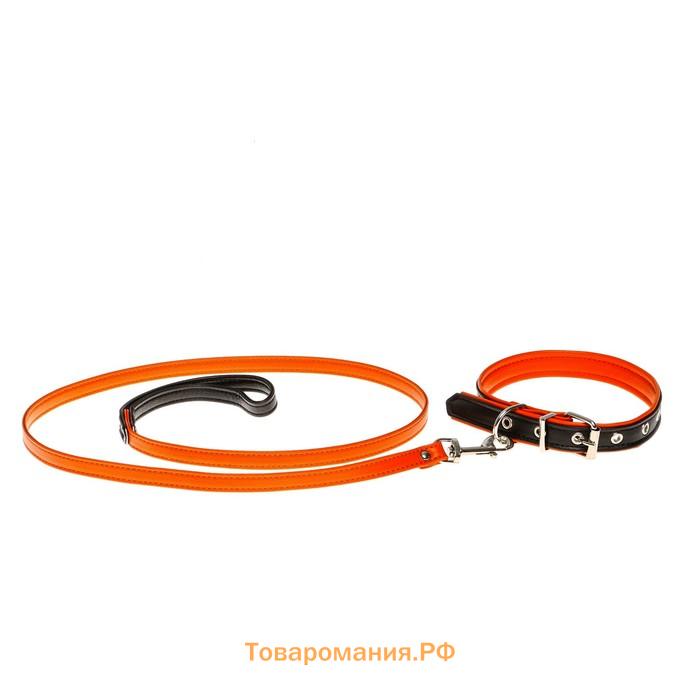 Комплект ошейник (58х2.5 см) и поводок (130х1.4 см) из экокожи, чёрный с оранжевым