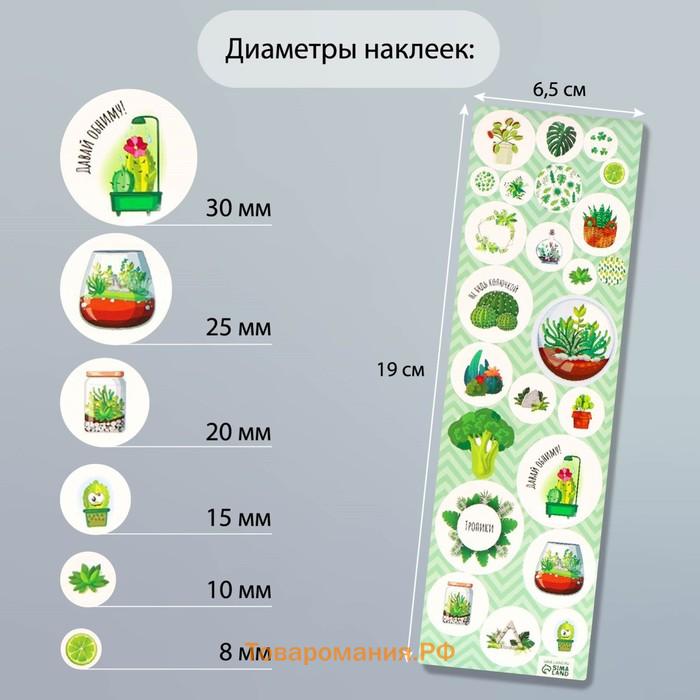 Наклейка для творчества пластик "Тропики" 6,5х19 см