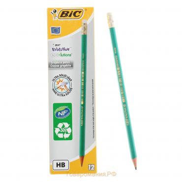 Карандаш чернографитный (простой) НВ, BIC Evolution, заточенный, пластиковый, c ластиком, шестигранный, зеленый корпус