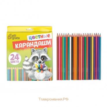 Карандаши 24 цвета, шестигранные, в картонной коробке