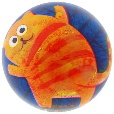 Мяч детский ZABIAKA «Котик», d=22 см, 60 г