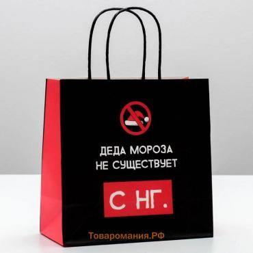 Пакет подарочный новогодний «Деда мороза не существует», 22 х 22 х 11 см, Новый год