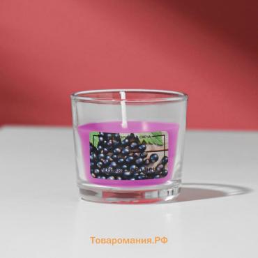 Свеча ароматическая в стакане АЛАНИЯ "Смородина", 5,5 см